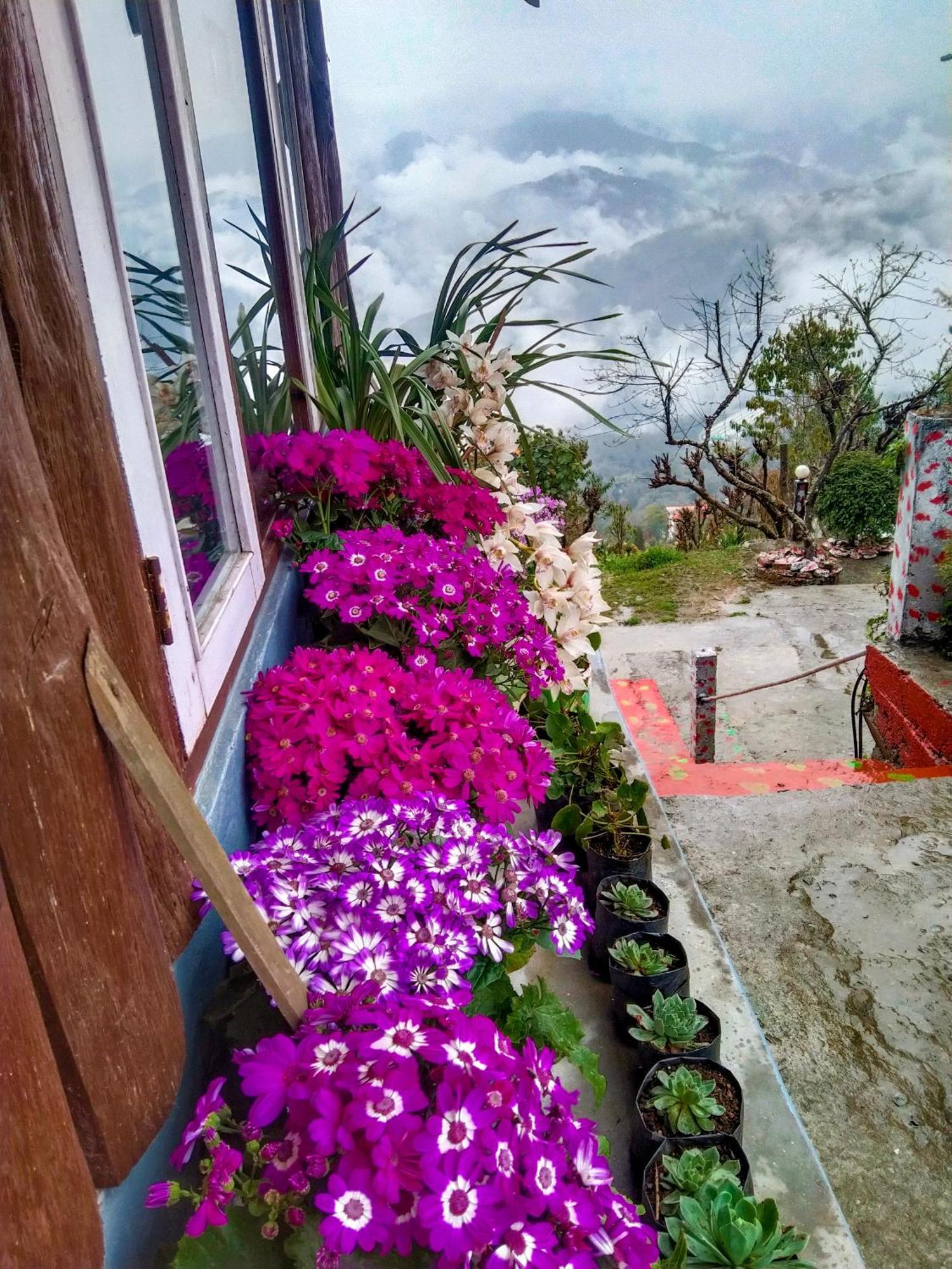 The Himalayan Resort Ravangla المظهر الخارجي الصورة