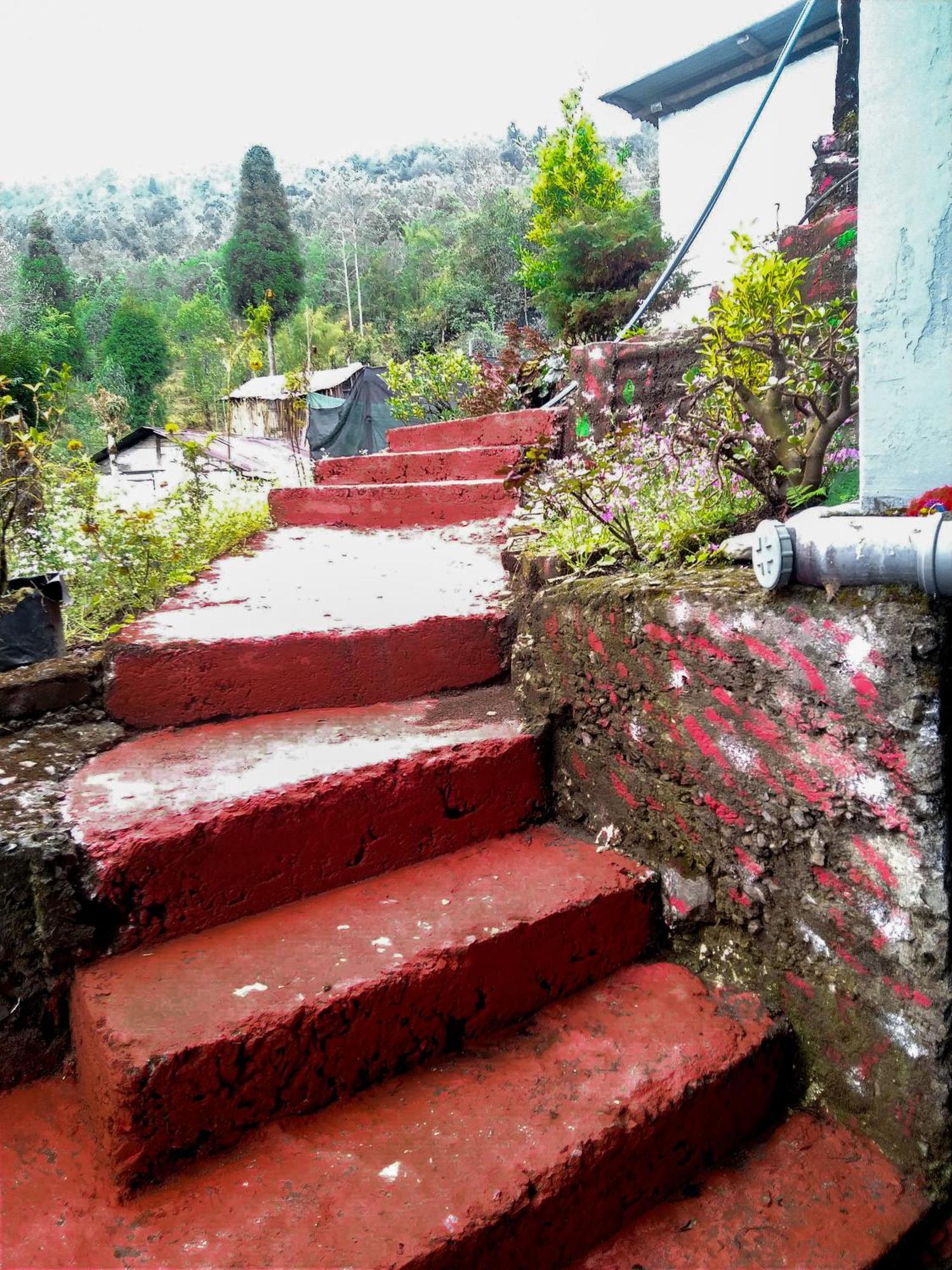 The Himalayan Resort Ravangla المظهر الخارجي الصورة