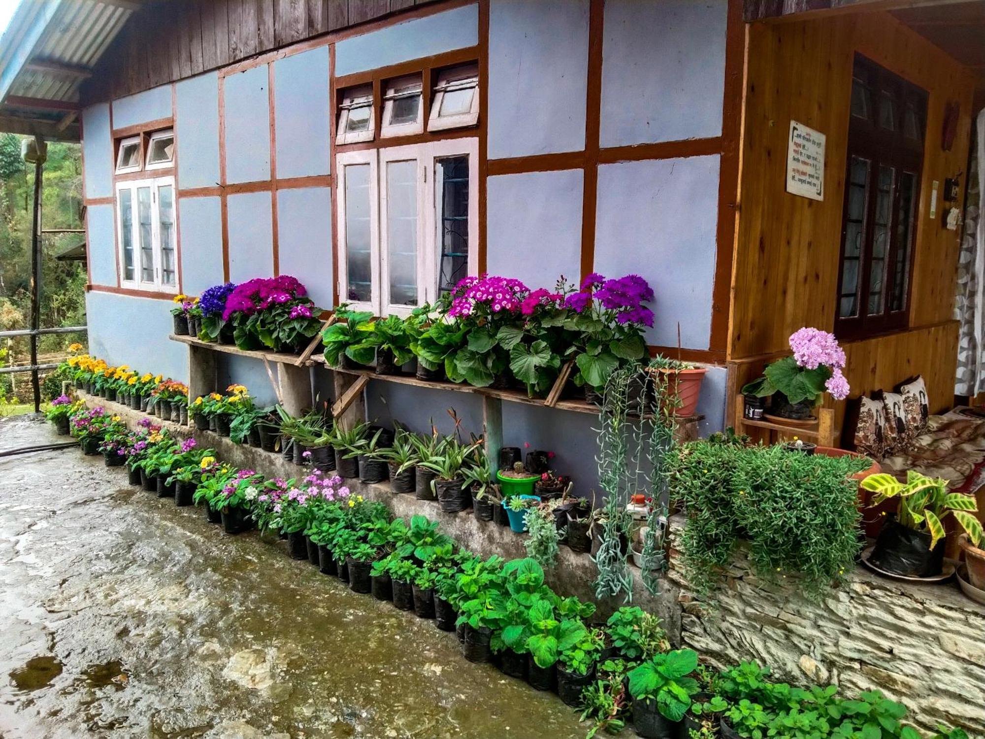 The Himalayan Resort Ravangla المظهر الخارجي الصورة